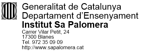 Institut Sa Palomera